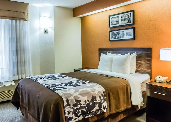 Bob - Boutique On Budget Inn Tallahassee
