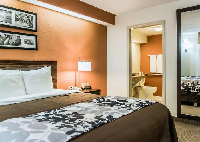 Bob - Boutique On Budget Inn Tallahassee