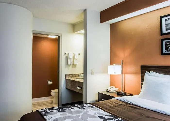 Bob - Boutique On Budget Inn 2*