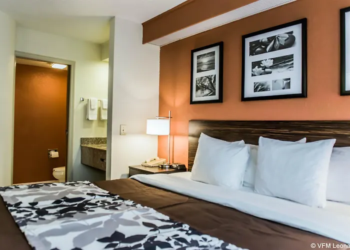 Bob - Boutique On Budget Inn