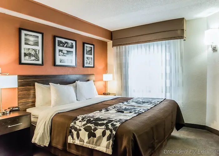 Bob - Boutique On Budget Inn 2*